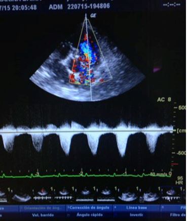 Cardiologia